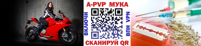 A PVP СК  ОМГ ОМГ сайт  Вышний Волочёк 