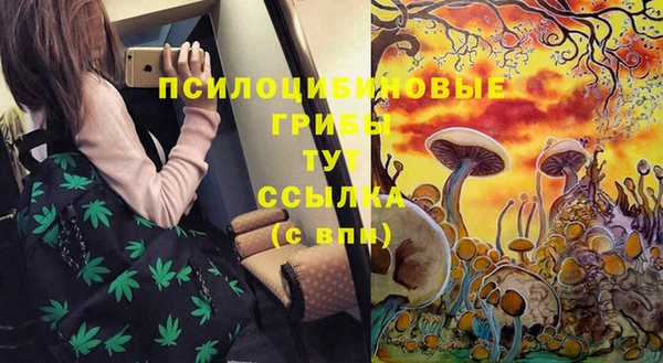 Альфа ПВП Краснослободск