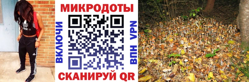 OMG ONION  Вышний Волочёк  Псилоцибиновые грибы мухоморы 